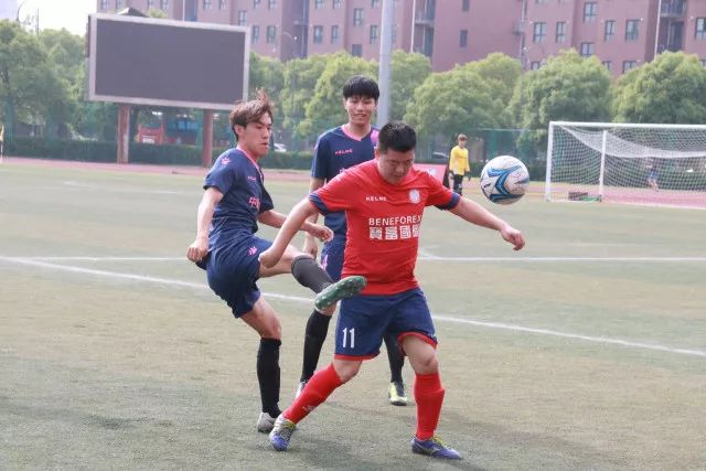 对比《嫁金钗》与《尚公主》，追剧感受截然不同